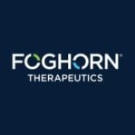 Foghorn Therapeutics | Pharmtech Focus
