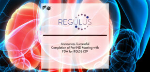 Regulus Therapeutics Announces Successful Completion of Pre-IND Meeting with FDA for RGLS8429 | Pharmtech Focus