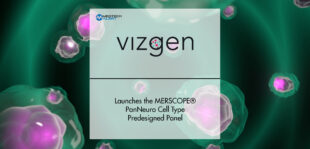 Vizgen Launches the MERSCOPE® PanNeuro Cell Type Predesigned Panel | MTA
